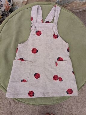 H&M Heathered Gray Dress with Red Ladybug Print 12-18 Months